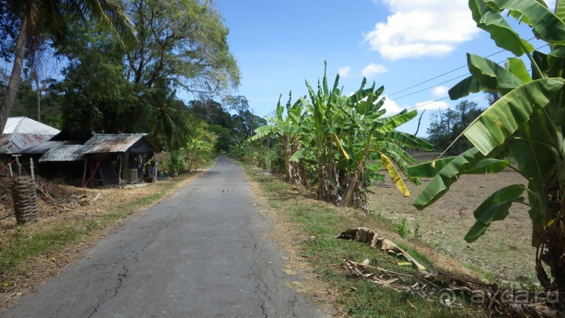 Тридцать и одна ночь. Юго-Восточные сказки. Непал-Индия апрель-май 2071года.