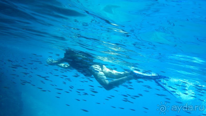 Тридцать и одна ночь. Юго-Восточные сказки. Непал-Индия апрель-май 2071года.