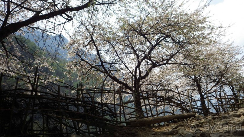 Тридцать и одна ночь. Юго-Восточные сказки. Непал-Индия апрель-май 2071года.