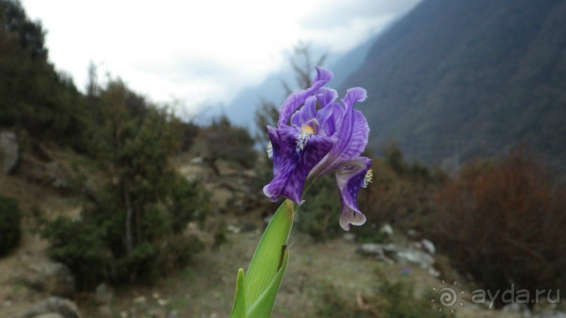 Тридцать и одна ночь. Юго-Восточные сказки. Непал-Индия апрель-май 2071года.