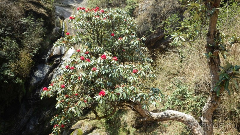 Тридцать и одна ночь. Юго-Восточные сказки. Непал-Индия апрель-май 2071года.