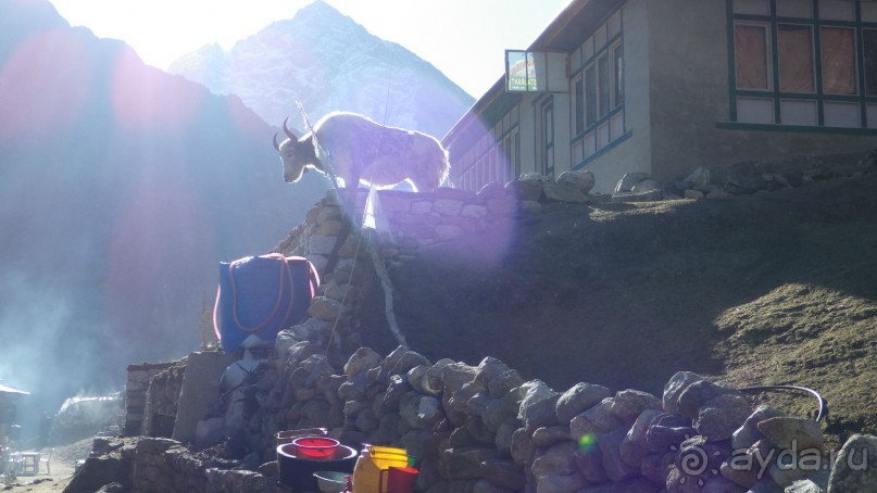 Тридцать и одна ночь. Юго-Восточные сказки. Непал-Индия апрель-май 2071года.