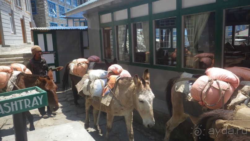 Тридцать и одна ночь. Юго-Восточные сказки. Непал-Индия апрель-май 2071года.