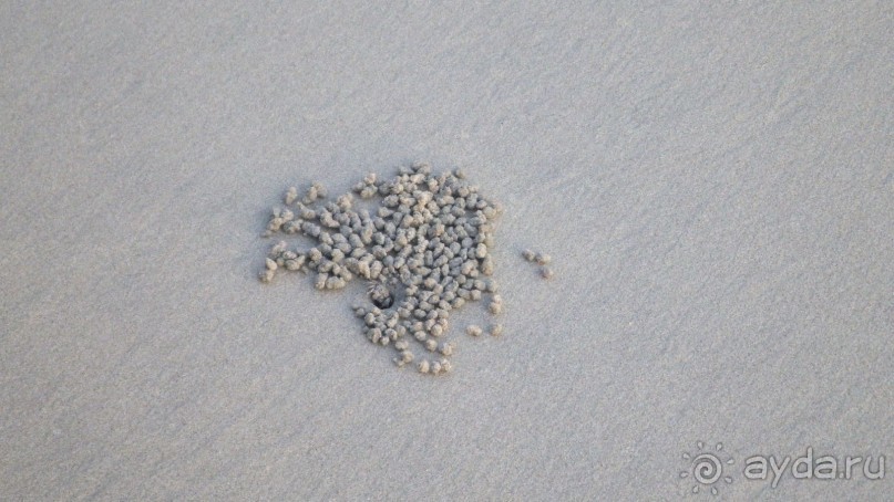 Тридцать и одна ночь. Юго-Восточные сказки. Непал-Индия апрель-май 2071года.