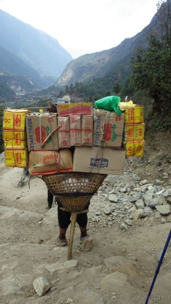 Тридцать и одна ночь. Юго-Восточные сказки. Непал-Индия апрель-май 2071года.