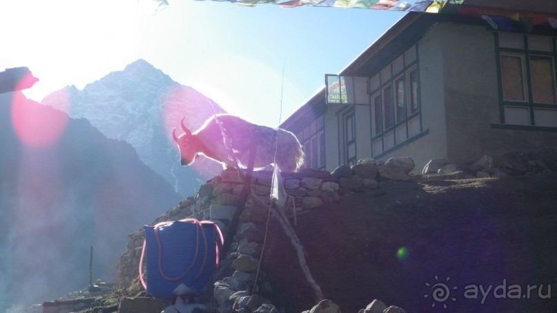 Тридцать и одна ночь. Юго-Восточные сказки. Непал-Индия апрель-май 2071года.