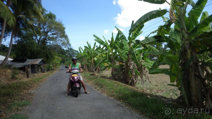 Тридцать и одна ночь. Юго-Восточные сказки. Непал-Индия апрель-май 2071года.