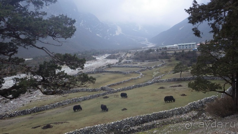 Тридцать и одна ночь. Юго-Восточные сказки. Непал-Индия апрель-май 2071года.