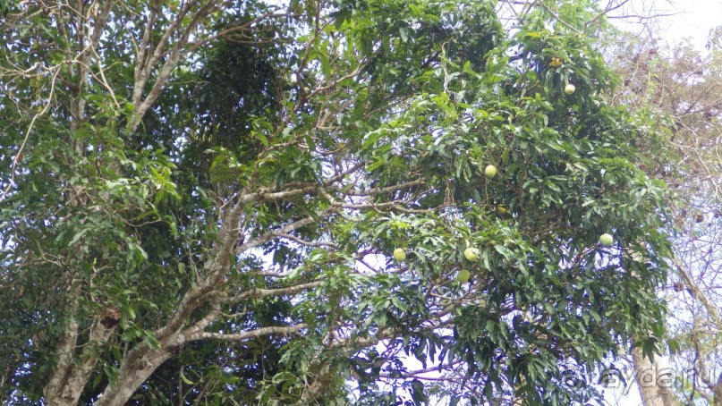 Тридцать и одна ночь. Юго-Восточные сказки. Непал-Индия апрель-май 2071года.