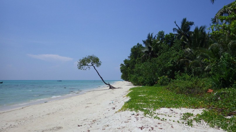 Тридцать и одна ночь. Юго-Восточные сказки. Непал-Индия апрель-май 2071года.