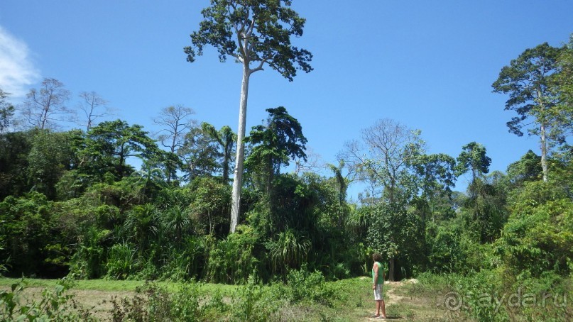 Тридцать и одна ночь. Юго-Восточные сказки. Непал-Индия апрель-май 2071года.