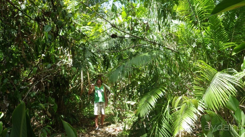 Тридцать и одна ночь. Юго-Восточные сказки. Непал-Индия апрель-май 2071года.