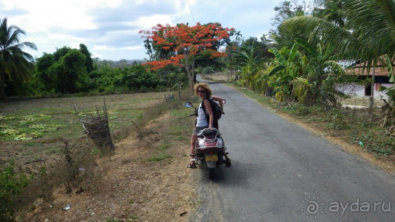 Тридцать и одна ночь. Юго-Восточные сказки. Непал-Индия апрель-май 2071года.