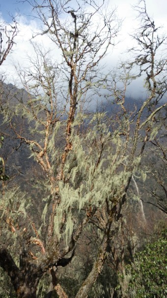 Тридцать и одна ночь. Юго-Восточные сказки. Непал-Индия апрель-май 2071года.