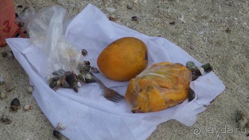 Тридцать и одна ночь. Юго-Восточные сказки. Непал-Индия апрель-май 2071года.