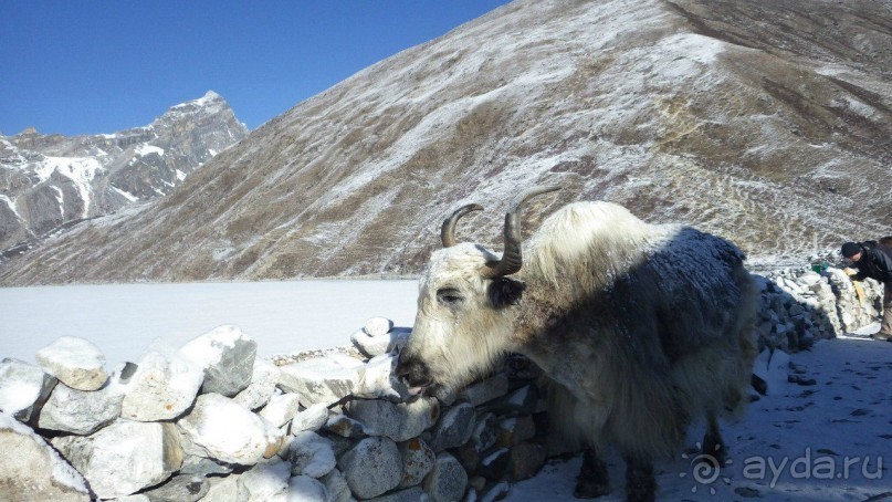 Тридцать и одна ночь. Юго-Восточные сказки. Непал-Индия апрель-май 2071года.