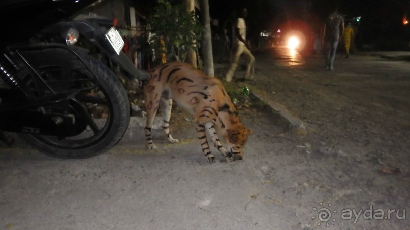 Тридцать и одна ночь. Юго-Восточные сказки. Непал-Индия апрель-май 2071года.