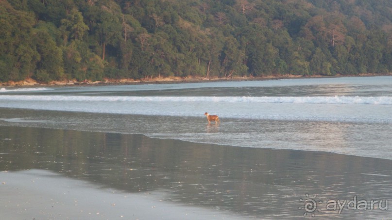 Тридцать и одна ночь. Юго-Восточные сказки. Непал-Индия апрель-май 2071года.