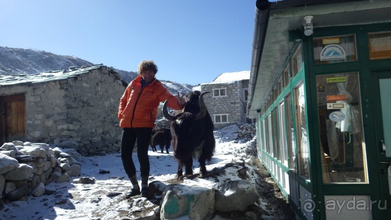 Тридцать и одна ночь. Юго-Восточные сказки. Непал-Индия апрель-май 2071года.
