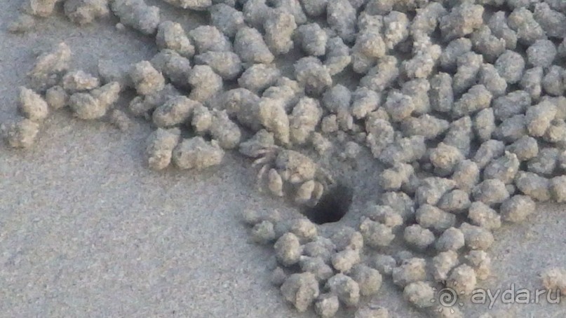 Тридцать и одна ночь. Юго-Восточные сказки. Непал-Индия апрель-май 2071года.