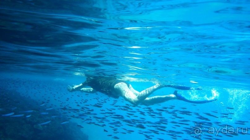 Тридцать и одна ночь. Юго-Восточные сказки. Непал-Индия апрель-май 2071года.