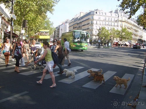 Обыкновенные парижане