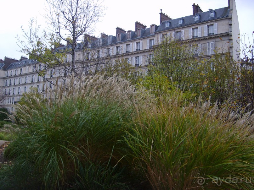 Зеленый дом в Париже