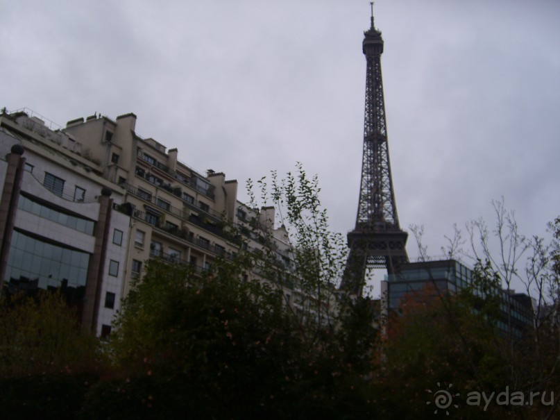 Зеленый дом в Париже