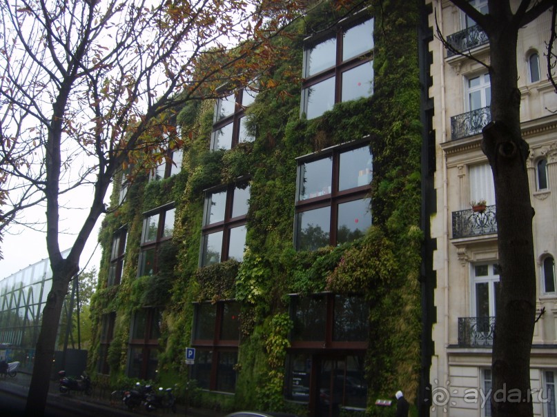 Зеленый дом в Париже