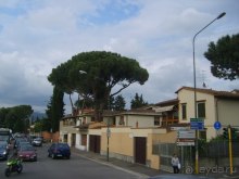 Прогулки по Флоренции