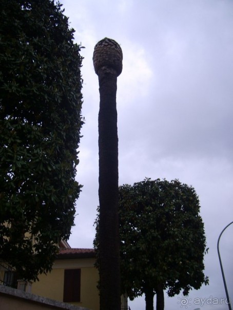 Рим глазами географа