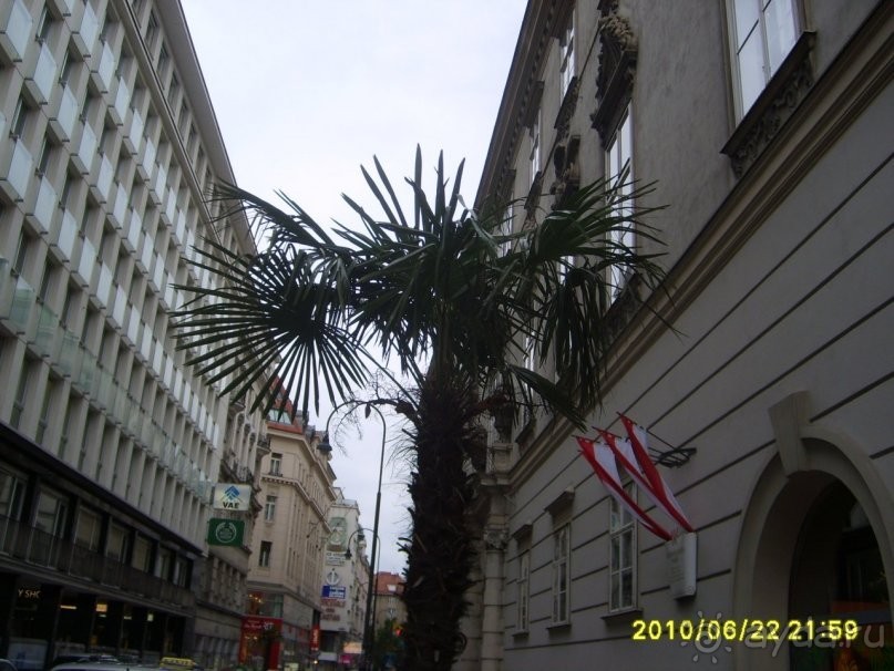 Австрия и Вена глазами географа