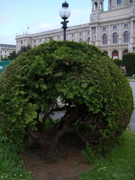 Австрия и Вена глазами географа