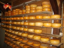 Амстердам и его жители глазами российского географа