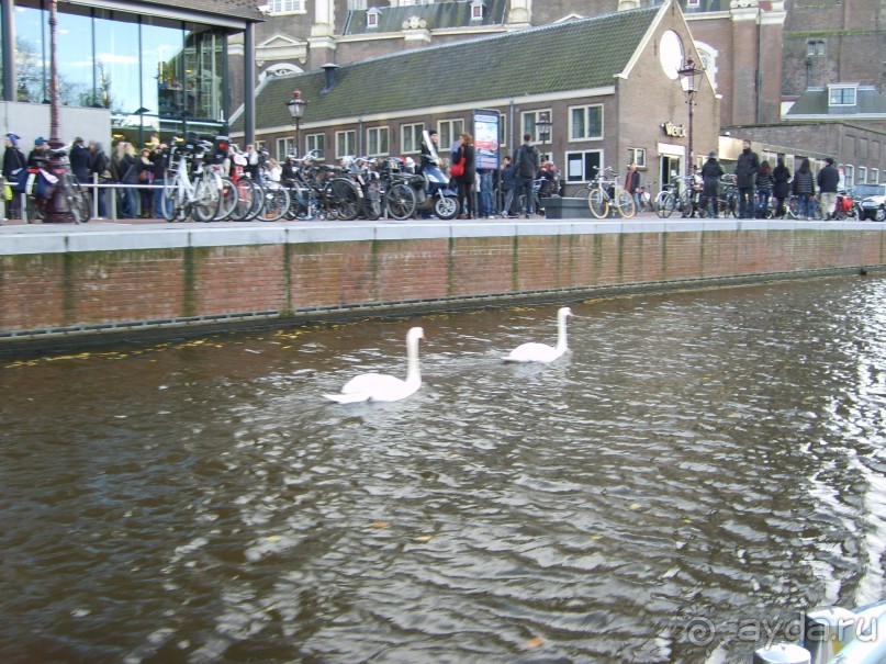 Амстердам и его жители глазами российского географа