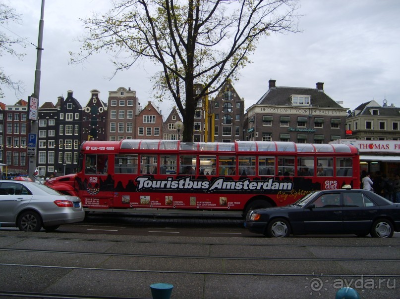 Амстердам и его жители глазами российского географа