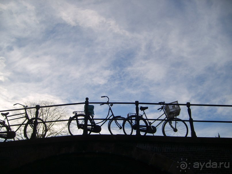 Амстердам и его жители глазами российского географа