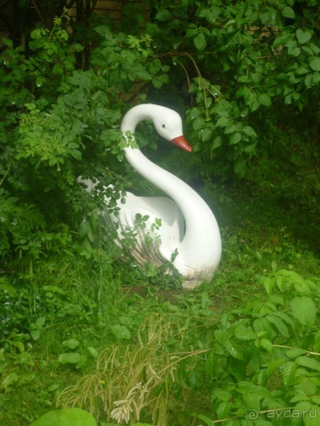 Незабываемое посещение кисловодский мемориальный музей-усадьбу художника Н. А. Ярошенко