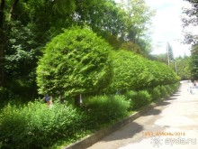 Путь от нарзанной галереи к долине роз и обратно - время незаметно пролетело