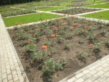 Путь от нарзанной галереи к долине роз и обратно - время незаметно пролетело