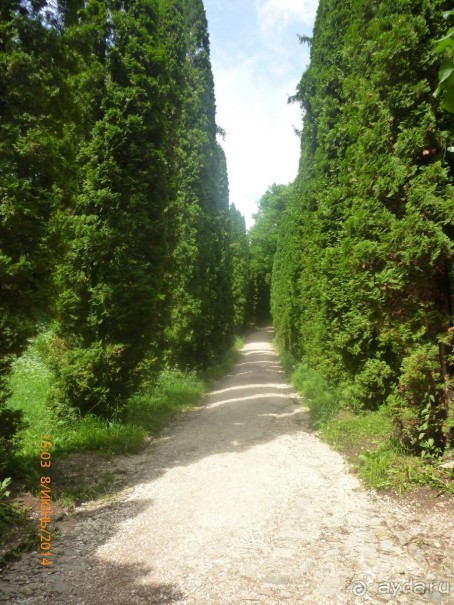 Путь от нарзанной галереи к долине роз и обратно - время незаметно пролетело