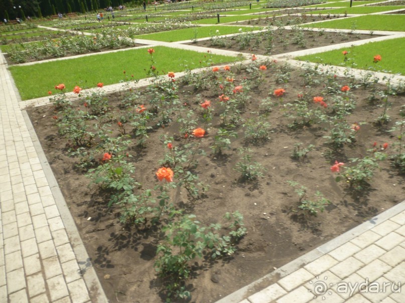 Путь от нарзанной галереи к долине роз и обратно - время незаметно пролетело