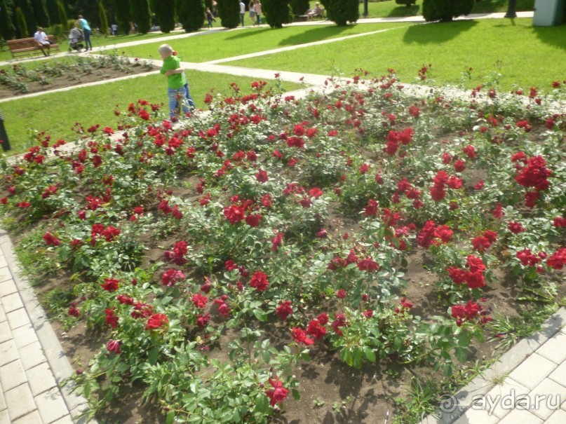 Путь от нарзанной галереи к долине роз и обратно - время незаметно пролетело