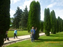 фото Кавказ