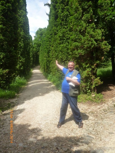 Санаторий Кавказ - супер!