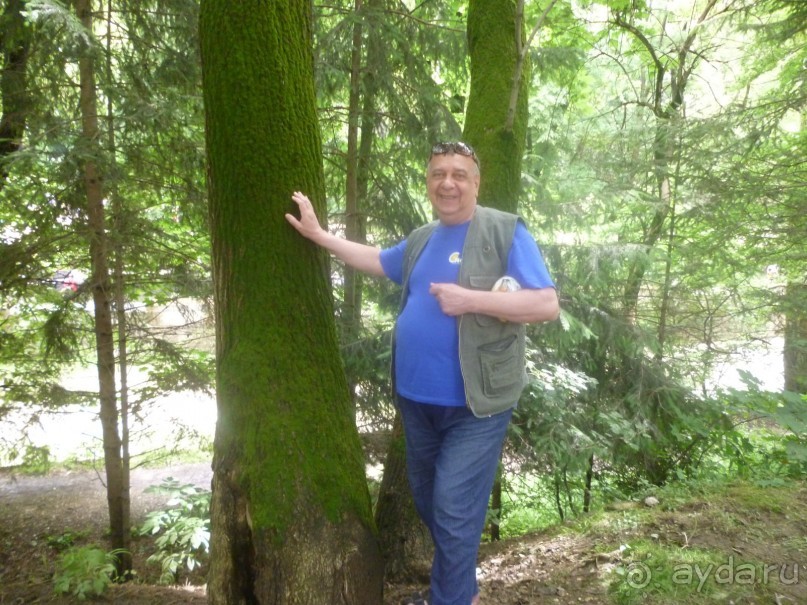 Санаторий Кавказ - супер!