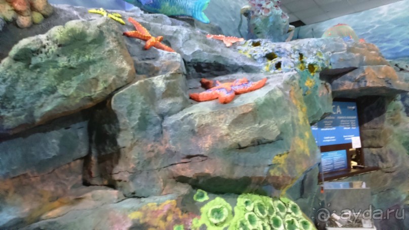 Казань жемчужина России