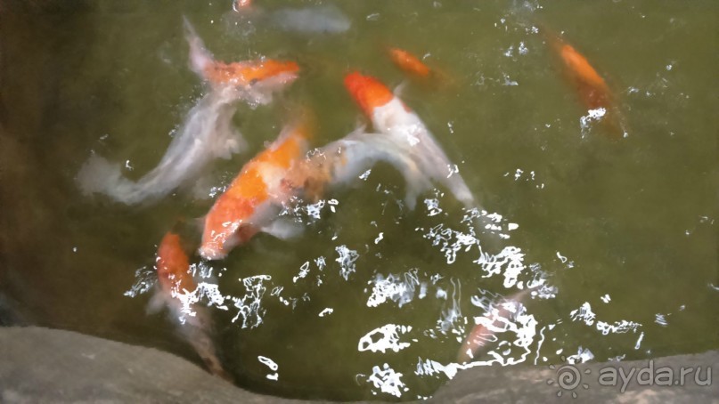 Казань жемчужина России