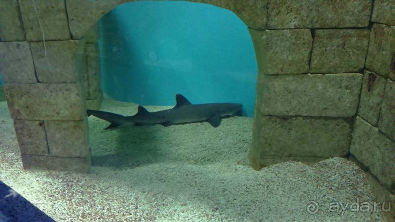 Казань жемчужина России