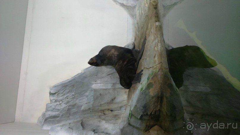 Казань жемчужина России